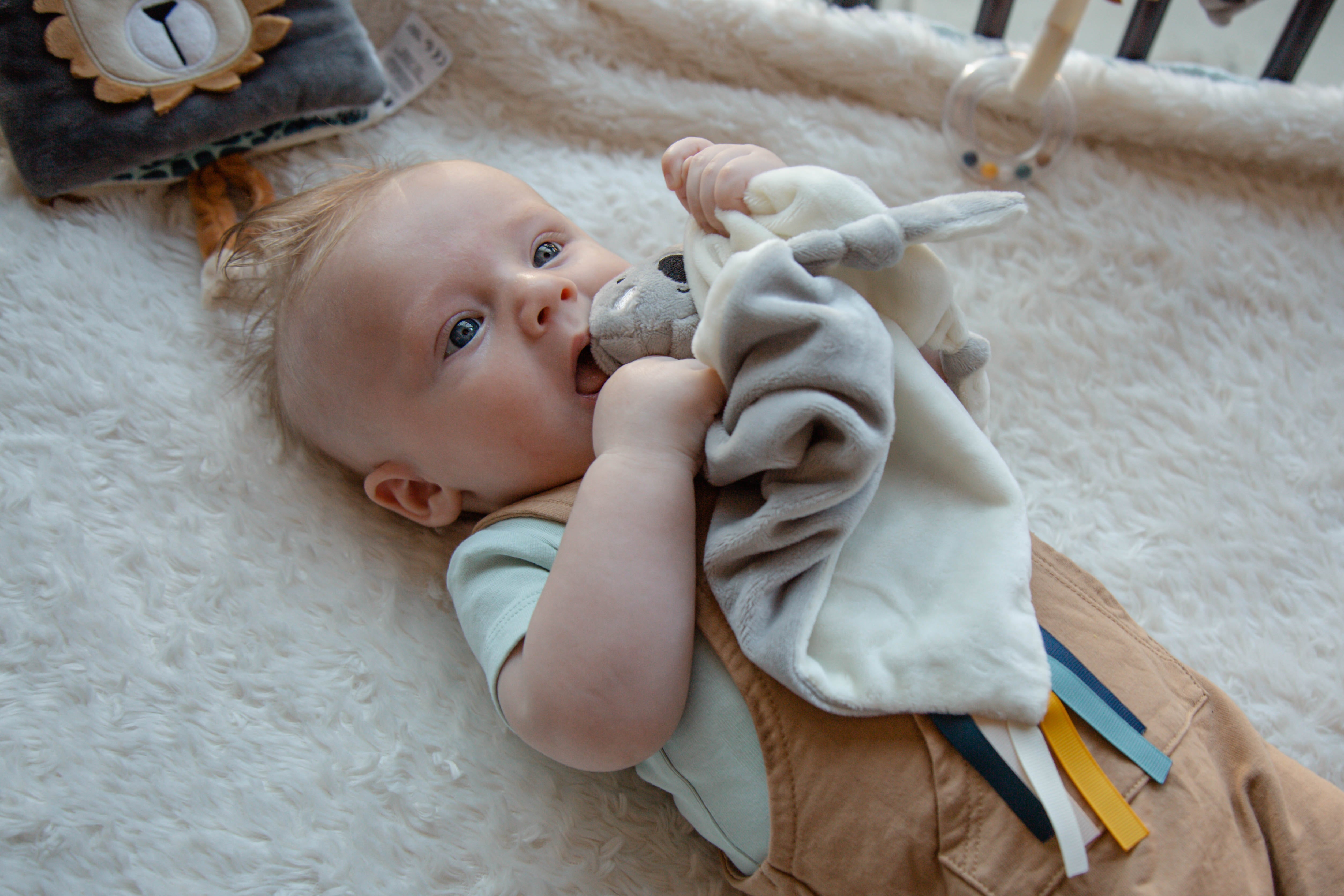 Schmusetuch Koala Kyle