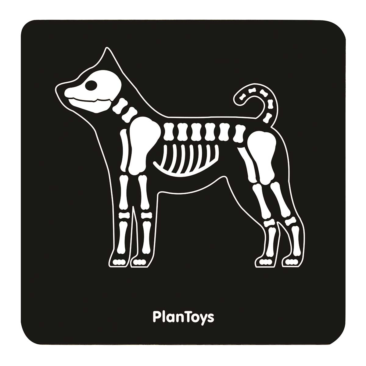 PlanToys Tierazt-Tasche für Kinder aus Holz