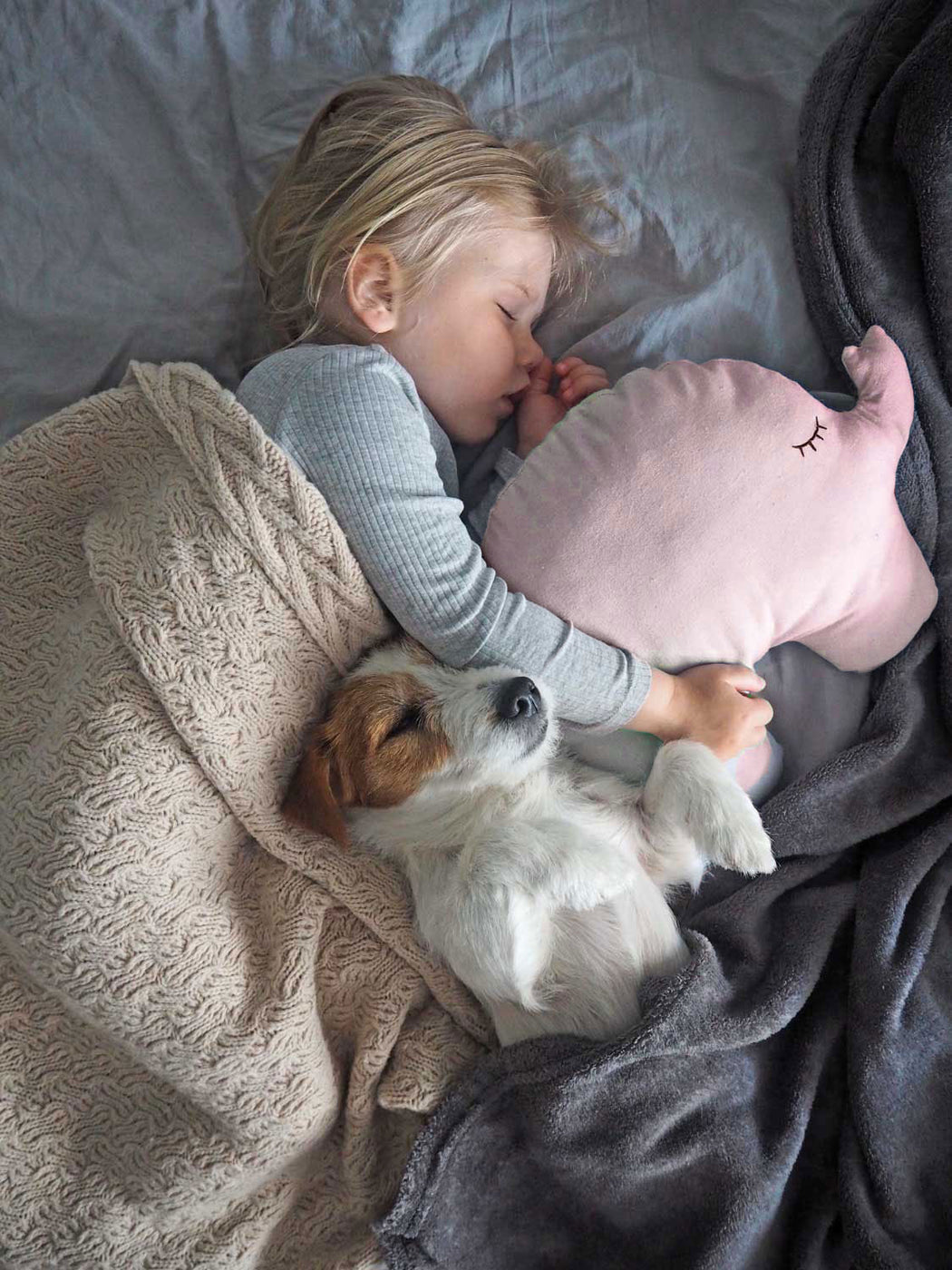 JaBaDaBaDo Elefant Kissen in Rosa / Kuscheltier