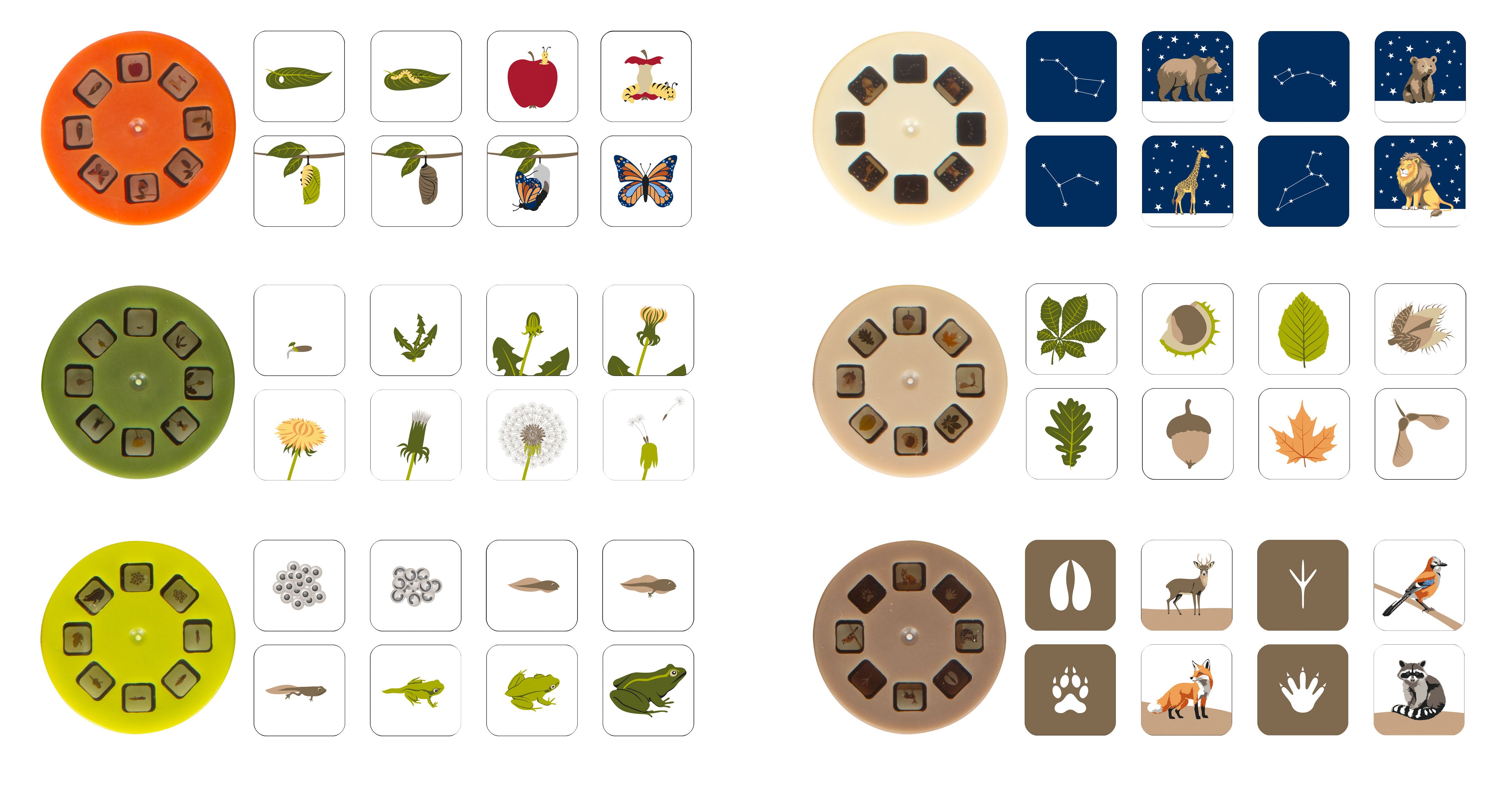 Kinder Taschenlampe mit Projektor ,Discover‘ von small foot