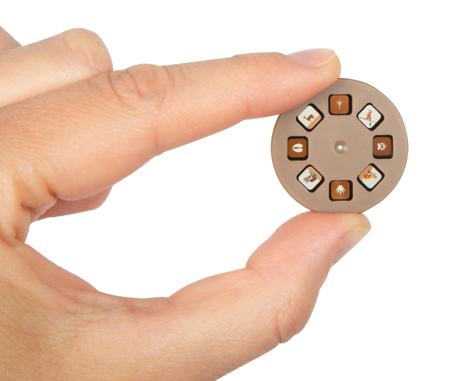 Kinder Taschenlampe mit Projektor ,Discover‘ von small foot