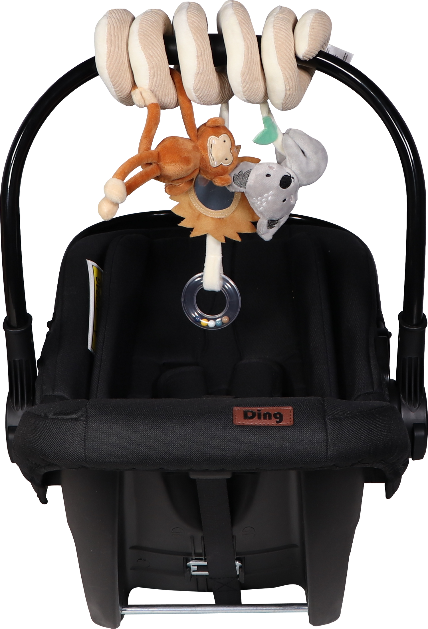 Boxspirale – Jungle