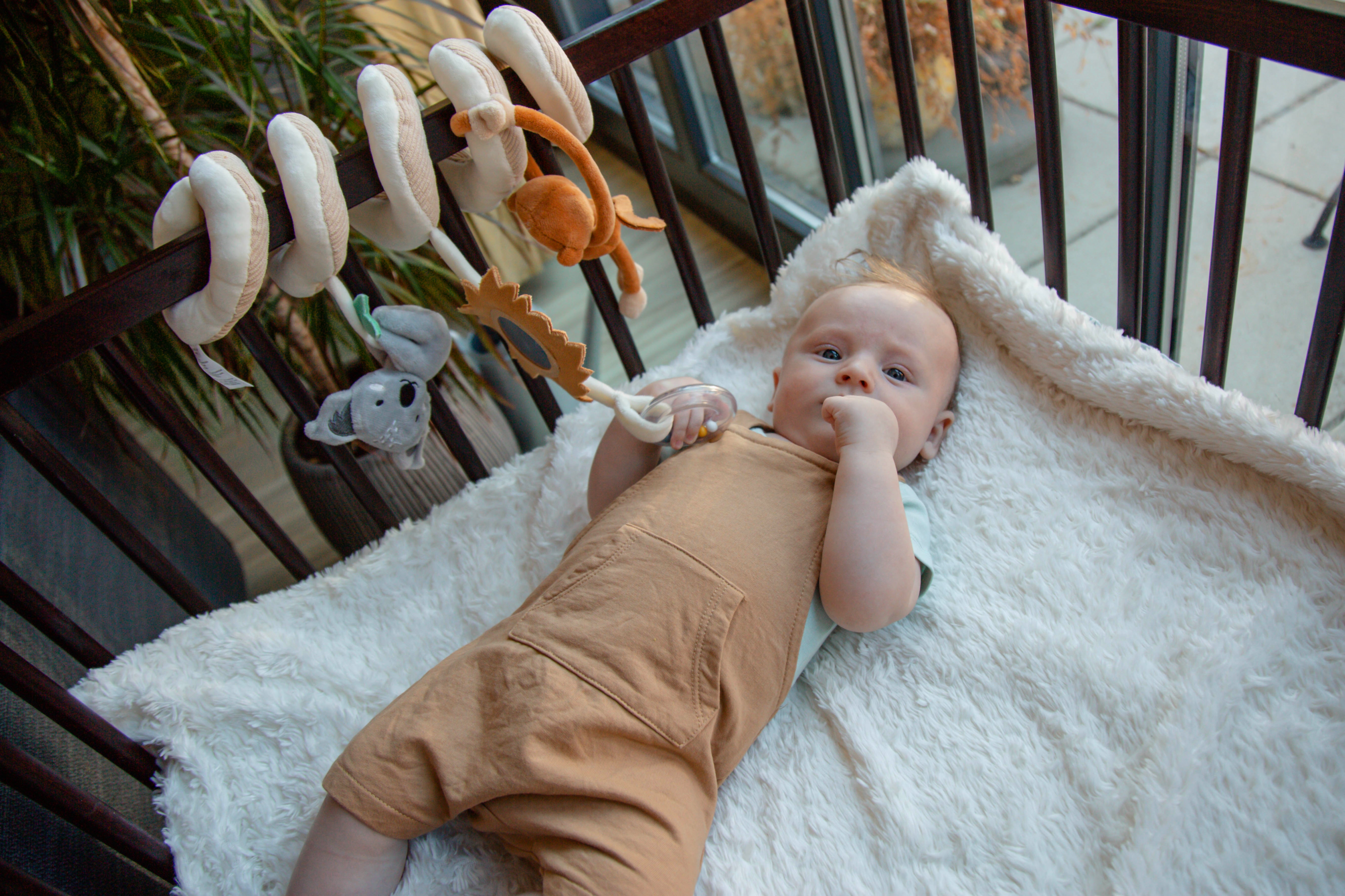 Boxspirale – Jungle