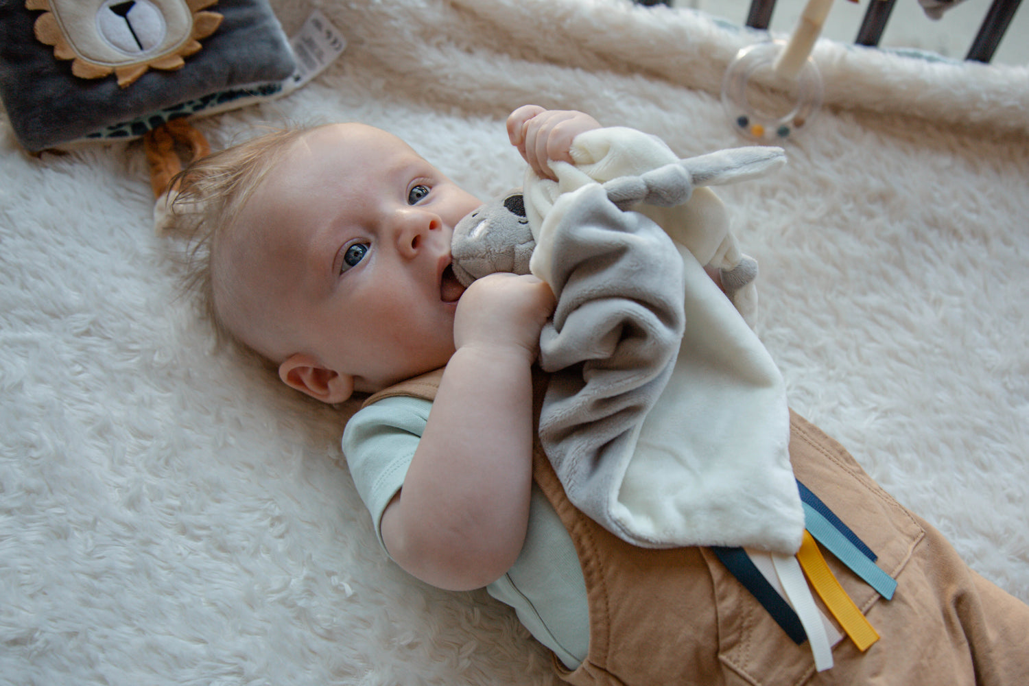 Schmusetuch Koala Kyle