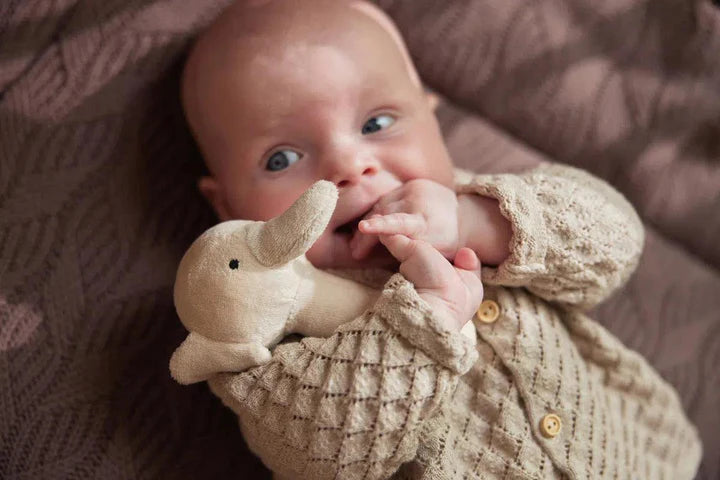 Jollein Samt-Rassel Elefant